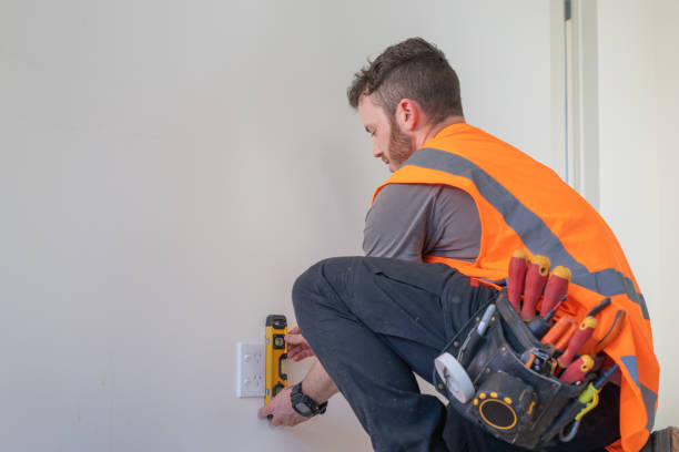 Best Electric Panel Repair  in Ramseur, NC